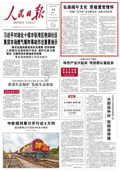 植物大战僵尸8